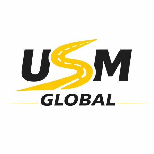 USM GLOBAL LLC